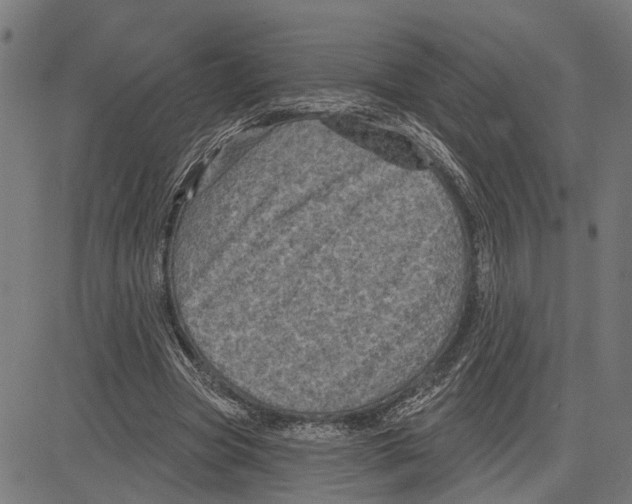 X0000083650537200703121748