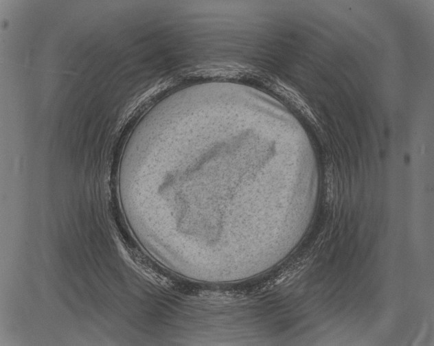 X0000083650538200703121748