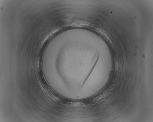 X0000083650539200703121748