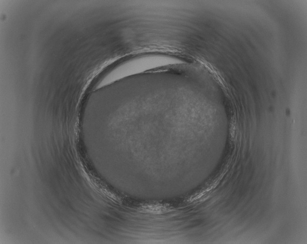 X0000083650540200703121748