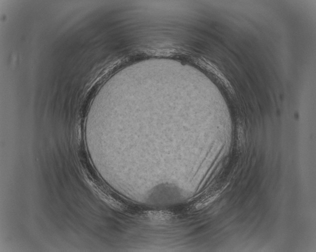 X0000083650541200703121748