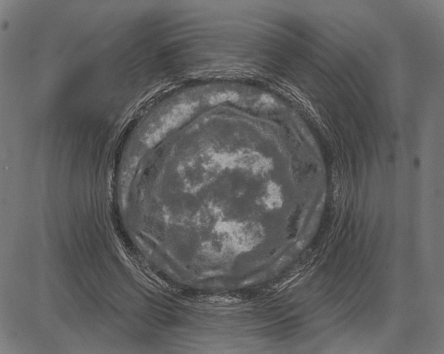 X0000083650542200703121748