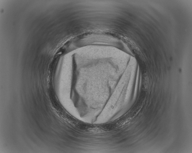 X0000083650544200703121748