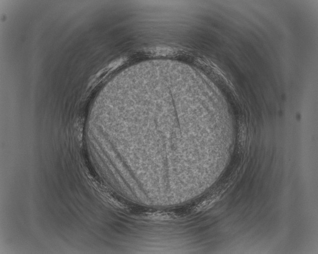 X0000083650545200703121748