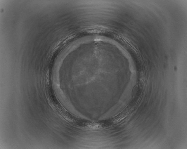 X0000083650547200703121748