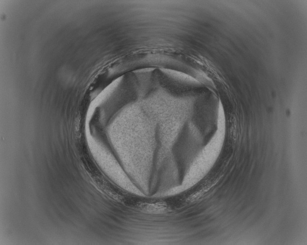 X0000083650548200703121748