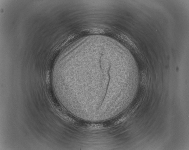 X0000083650549200703121748