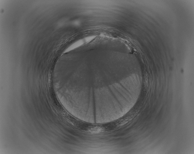 X0000083650551200703121748