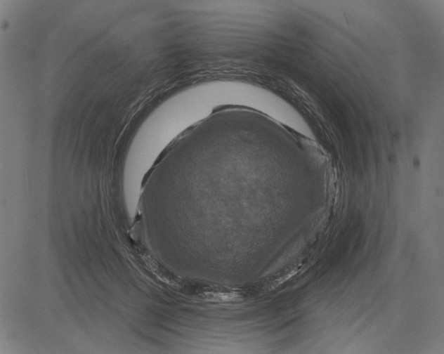 X0000083650552200703121748