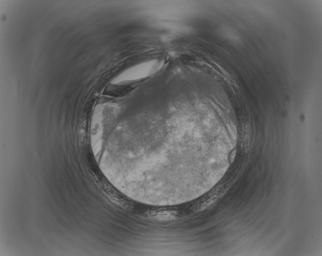 X0000083650553200703121748