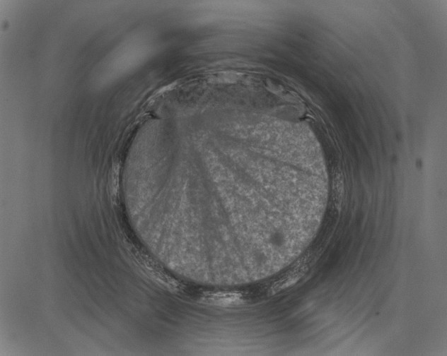 X0000083650554200703121748