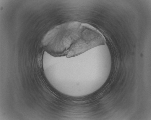 X0000083650557200703121748