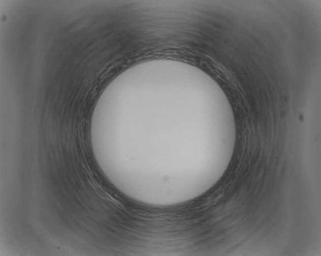 X0000083650558200703121748