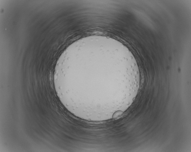 X0000083650559200703121748