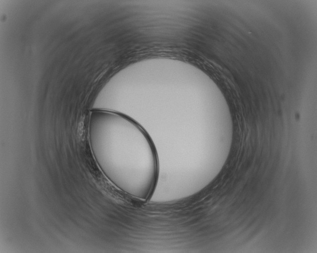 X0000083650560200703121748