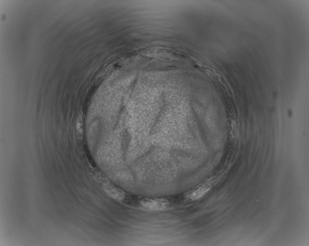 X0000083650561200703121748