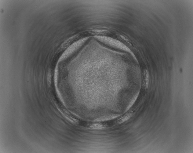 X0000083650562200703121748