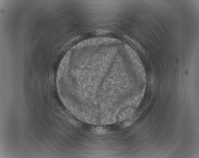 X0000083650565200703121748