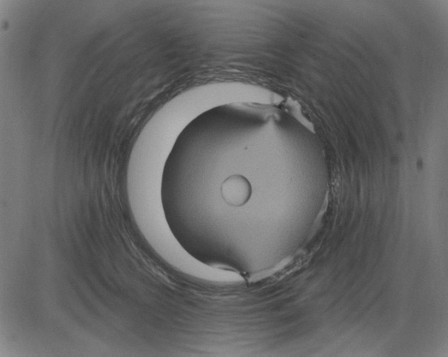 X0000083650566200703121748