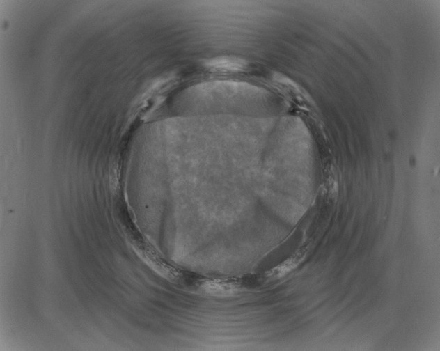 X0000083650568200703121748