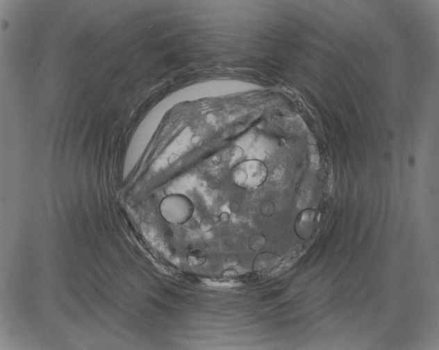 X0000083650569200703121748