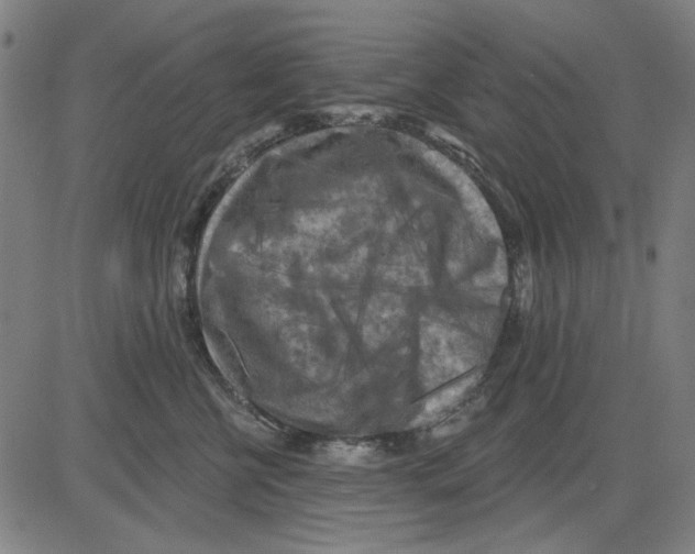 X0000083650570200703121748