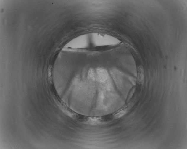 X0000083650573200703121748