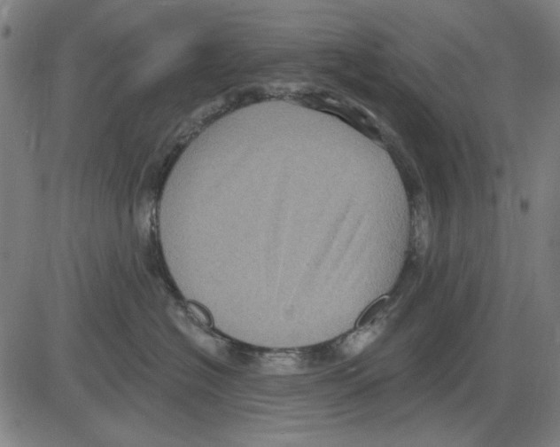 X0000083650574200703121748