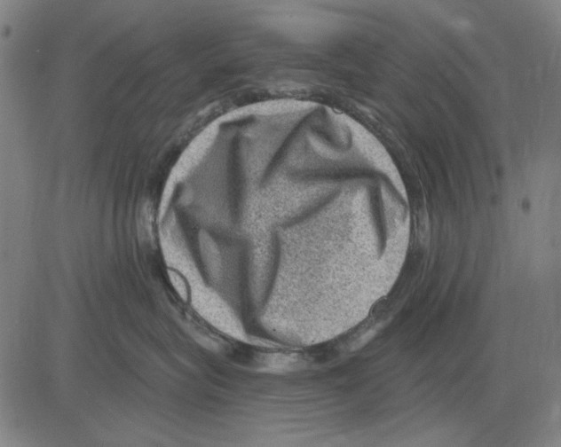 X0000083650575200703121748