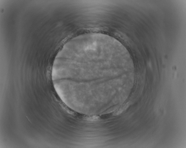 X0000083650576200703121748