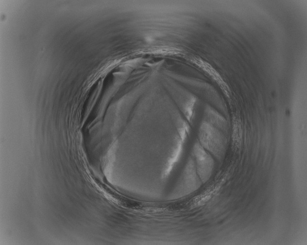 X0000083650577200703121748