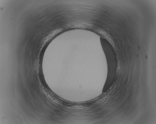 X0000083650578200703121748