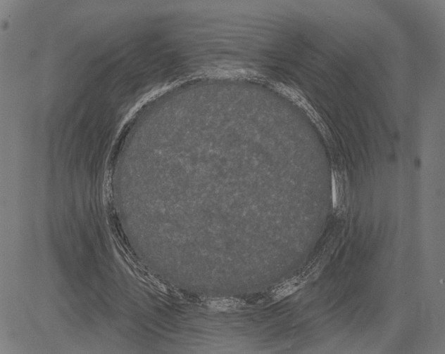 X0000083650579200703121748