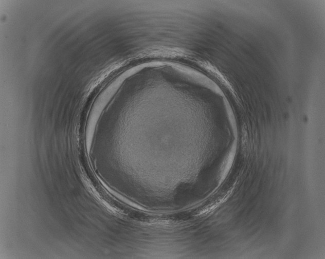 X0000083650581200703121748