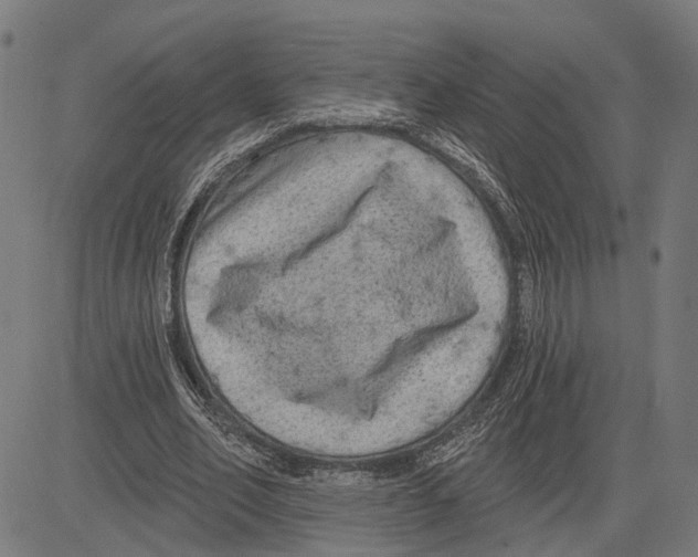 X0000083650582200703121748