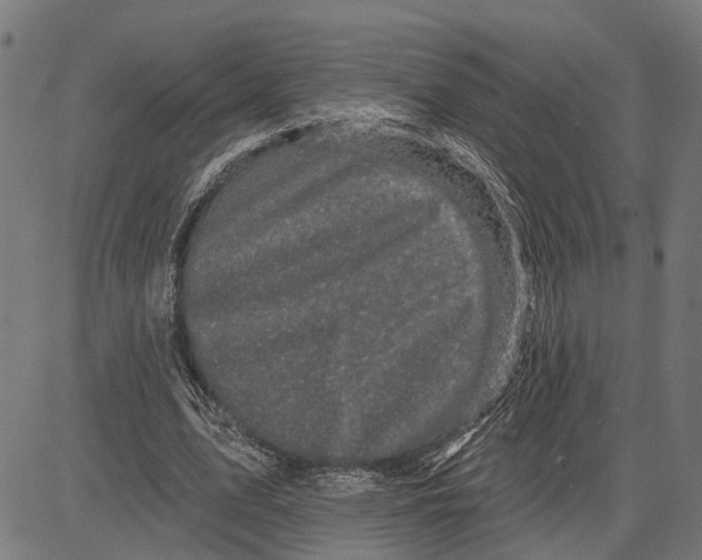 X0000083650583200703121748