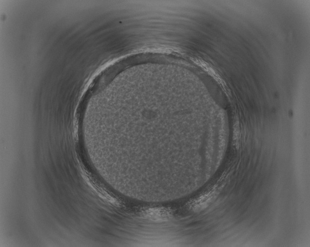 X0000083650584200703121748