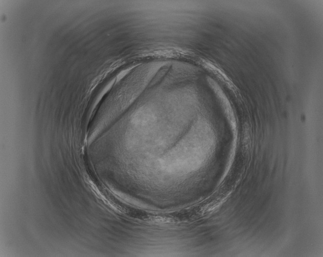 X0000083650585200703121748