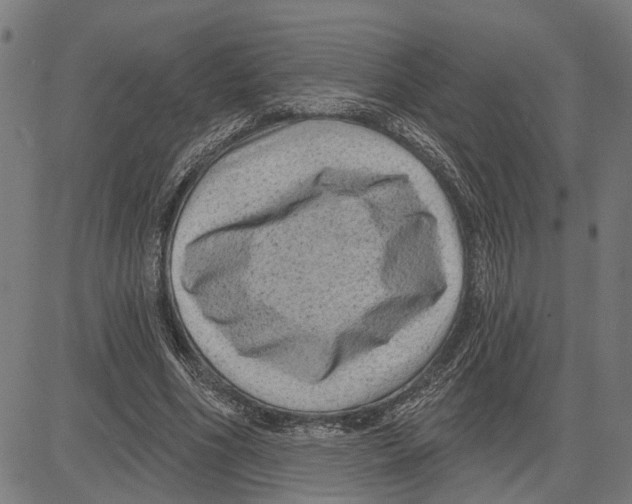 X0000083650586200703121748