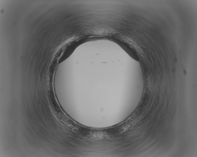 X0000083650587200703121747