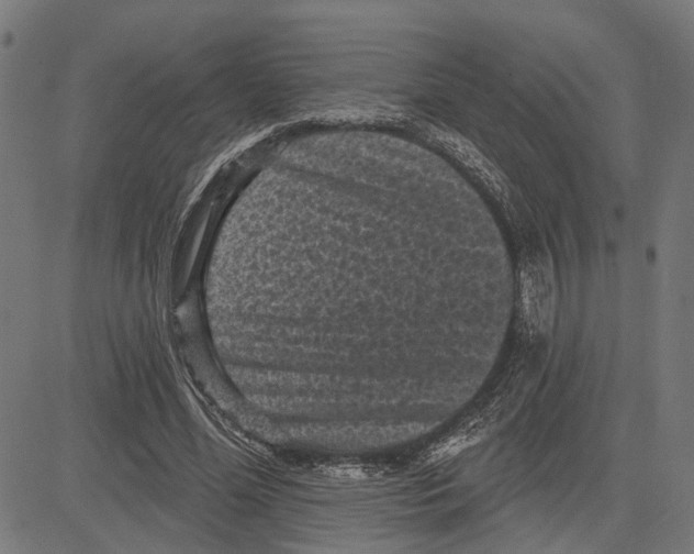 X0000083650588200703121747