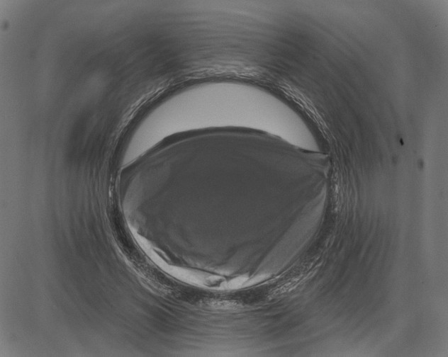 X0000083650590200703121747