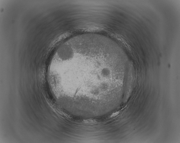 X0000083650591200703121747