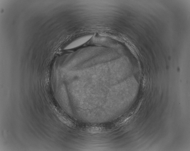 X0000083650593200703121747