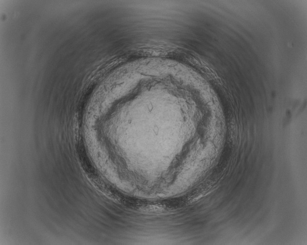 X0000083650594200703121747