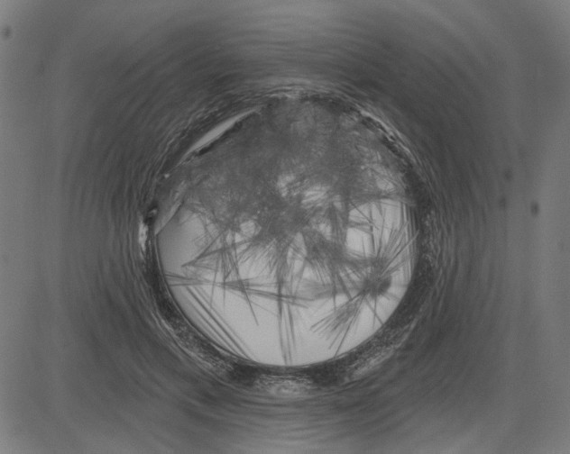 X0000083650597200703121747