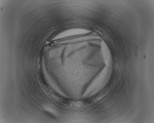 X0000083650599200703121747