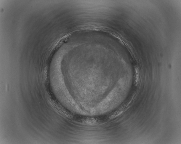 X0000083650600200703121747