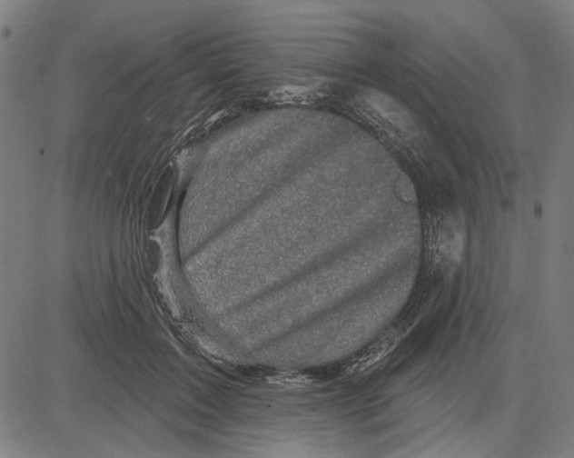 X0000083650603200703121747