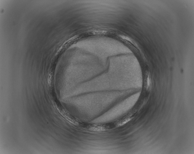 X0000083650604200703121747